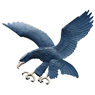 Ateneo Blue Eagles