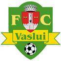 Logo Vaslui
