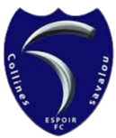 Espoir FC Savalou